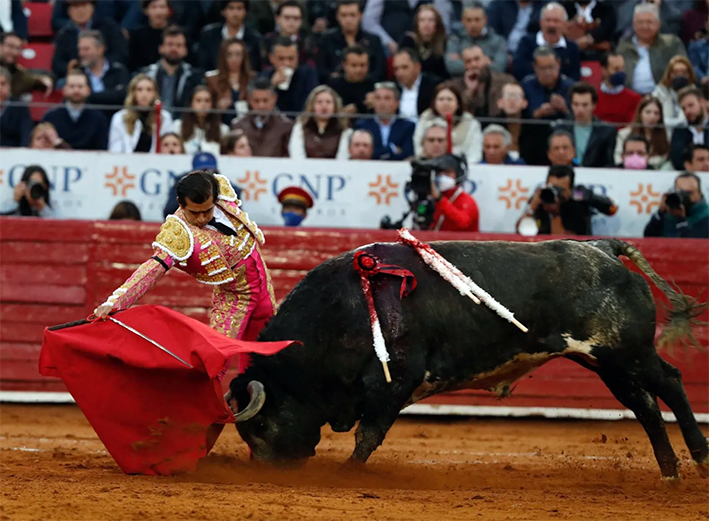 Juez suspende provisionalmente corridas de toros en la Plaza México