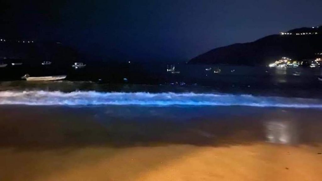 Fenómeno bioquímico ilumina de azul las playas de Acapulco