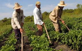 El campesino no está solo: Mauricio Lozano