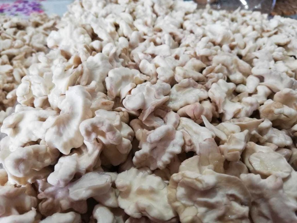 Empieza a llegar la nuez, cara, a $ 650.00 el kilo