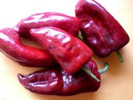 Buena producción de poblano colorado para el 8 de septiembre 