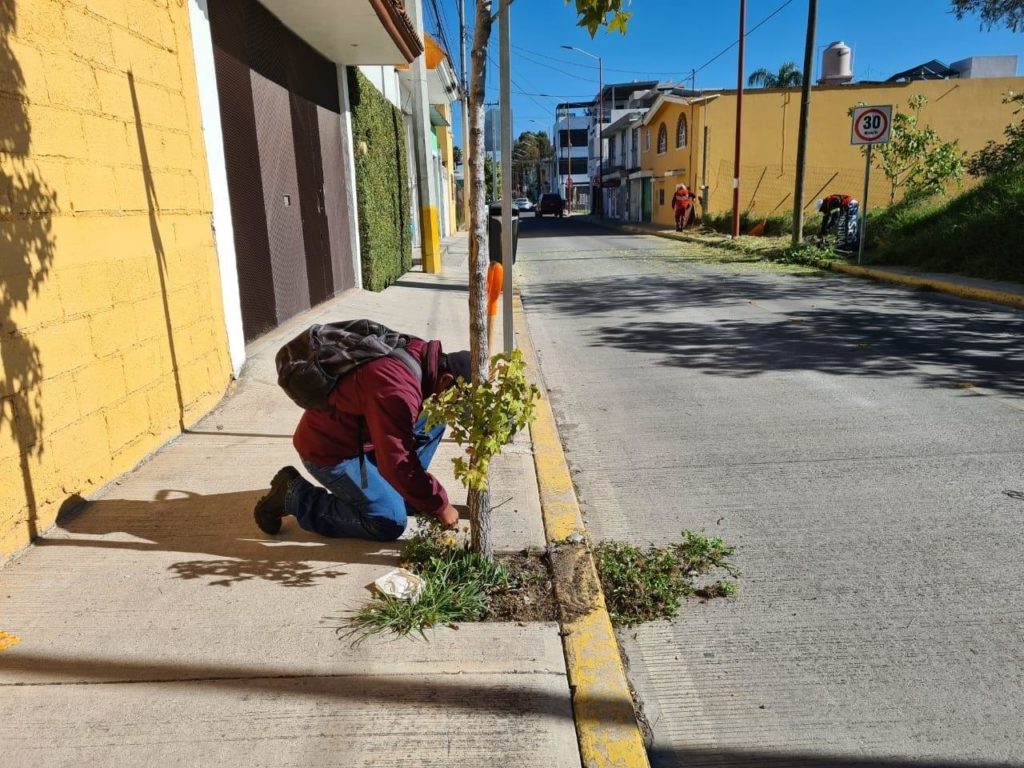 No Pasa, y no Pasa 