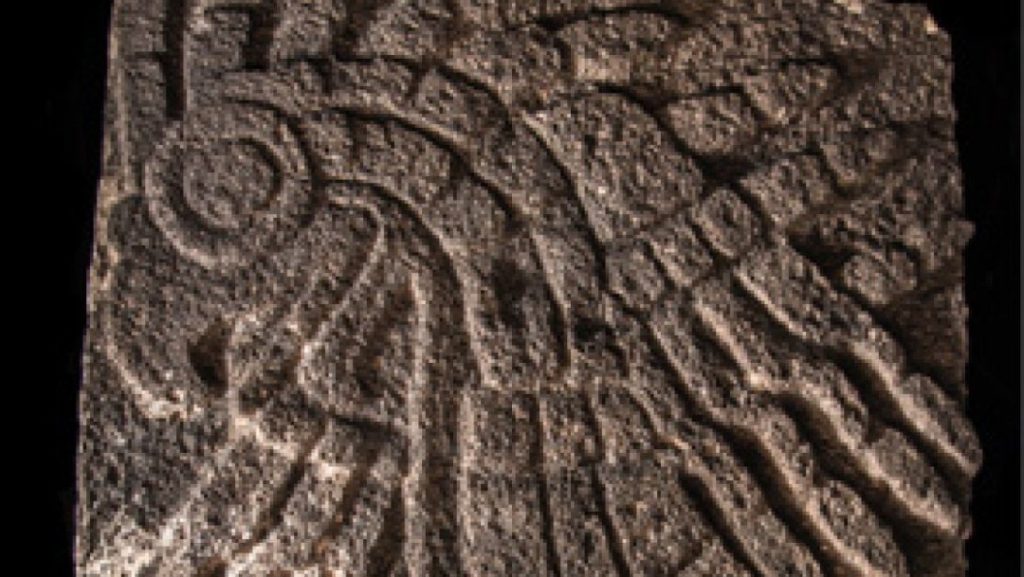Bajorrelieve de águila real hallado en Templo Mayor data de hace más de 500 años