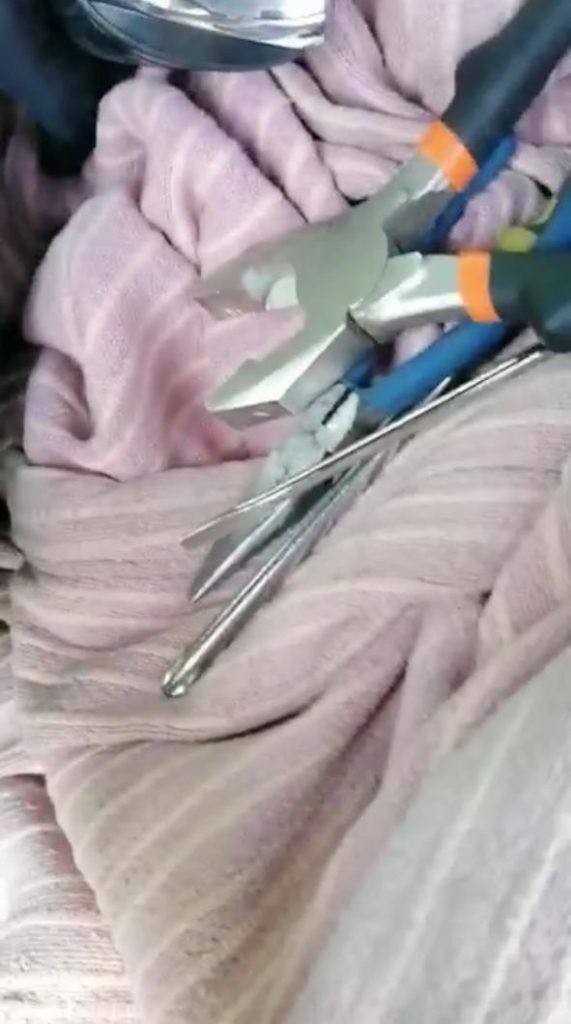 SSPTM de San Andrés Cholula detiene a mujer con documentación apócrifa
