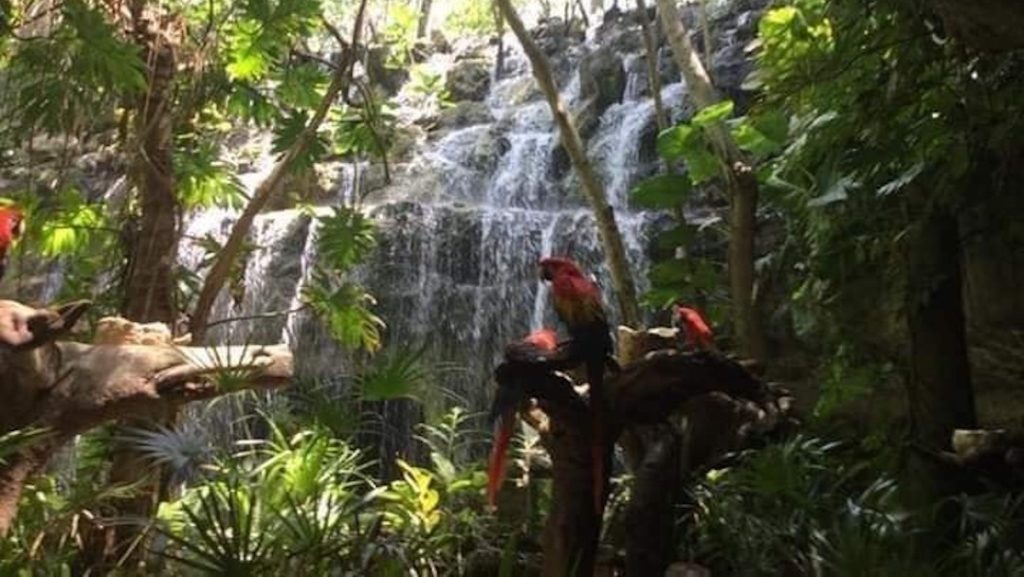 Niño de 13 años muere succionado por filtro de alberca en parque temático