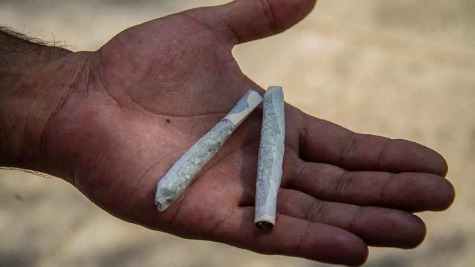 Marihuana en México: Corte anula prohibición para uso lúdico