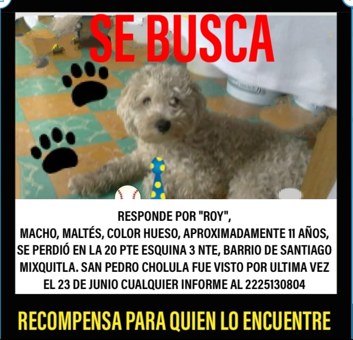 SERVICIO SOCIAL