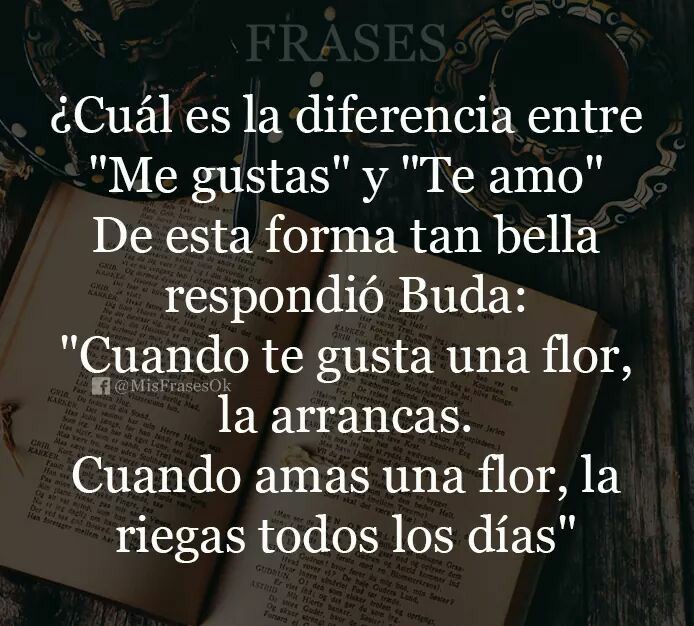 Me Gustas, no es Te Amo