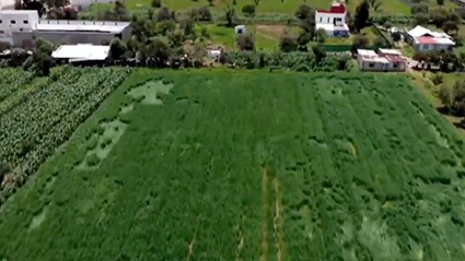 Extrañas figuras aparecen en campos cercanos al socavón de Puebla