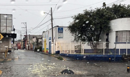 Smart City, casi se ahoga