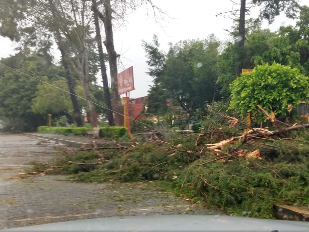 Reporta Protección Civil del Estado afectaciones menores tras llegada del huracán «Grace»