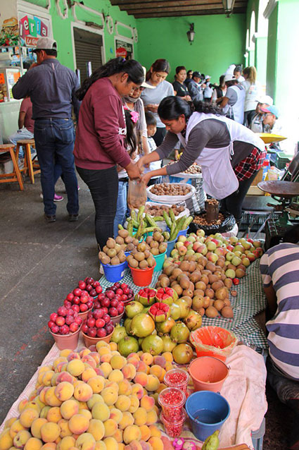 Productores de nuez, temen bajas ventas por covid-19