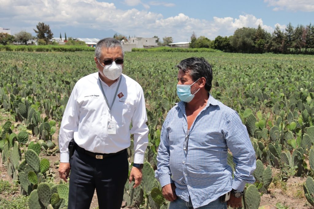 Entrega Trabajo maquinaria a 10 familias productoras de nopal de Tlaxcalancingo