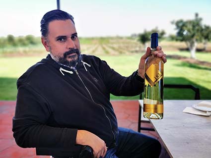 Viñedo en Calpan, alternativa turística