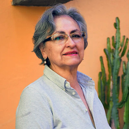 Profesionalización docente para rescatar a la universidad: Lupita Grajales