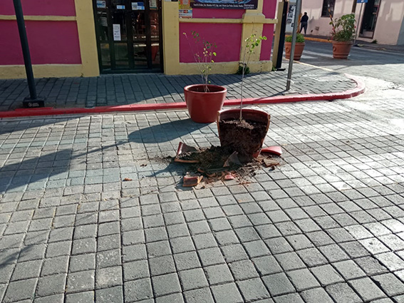 Vecinos del a Morelos, sufren por remodelación