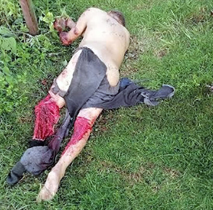 Perros asesinos, matan a abuelito