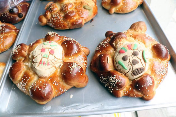 Aparecen las “Monstruo-conchas”