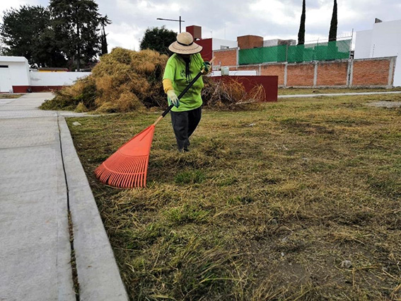 Listos operativo por Todos Santos