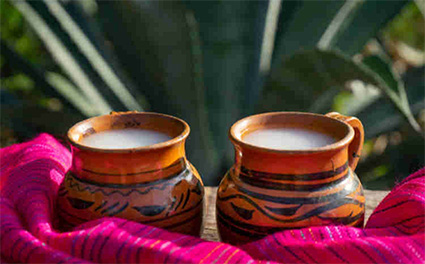 Festival del Pulque, Gastronomía típica y Mezcal