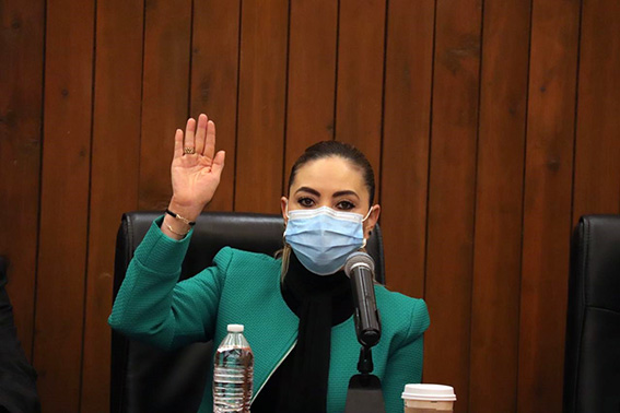 Fuimos minuciosos, con la Ley de Ingresos: Paola Angon