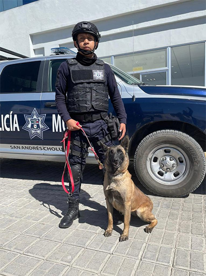 Capacitan en búsqueda, rescate y detección de enervantes, a unidad canina