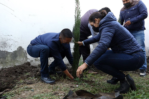 Han plantado más de 600 árboles con las jornadas de reforestación