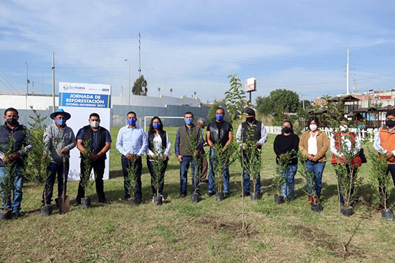 Inicia comuna sanandreseña  jornada de reforestación otoño-invierno 2021
