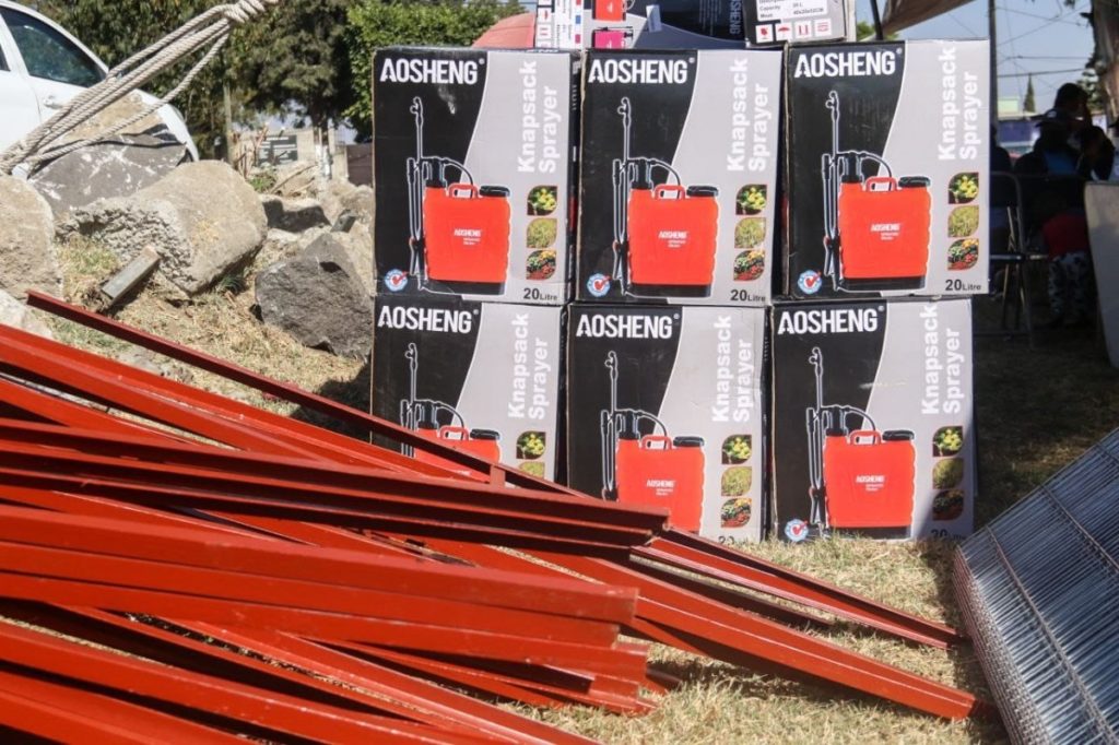 Seguridad alimentaria con módulos de aves de traspatio