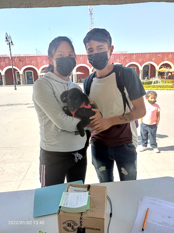 “1a Jornada de Adopción y Vacunación de Animales”