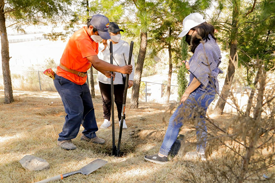 Jornada de reforestación en Cacalotepec