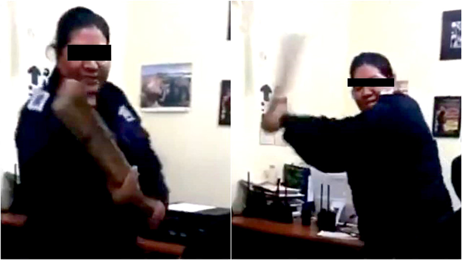 Difunden video de policía golpeando con una tabla a persona detenida en Veracruz