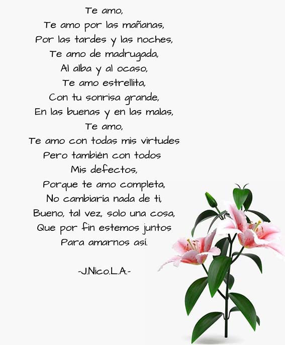 Pensamiento de Nico…