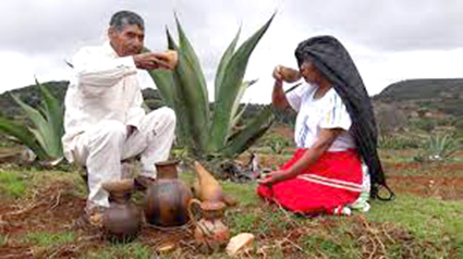 El pulque en la religiosidad mesoamericana