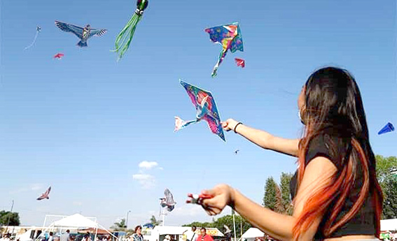 “Festival Volarte” acaparó a cientos de familias