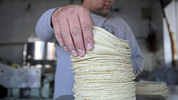 El lunes tortilla a 18 el kilo