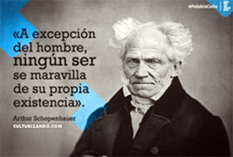 Frases de la historia
