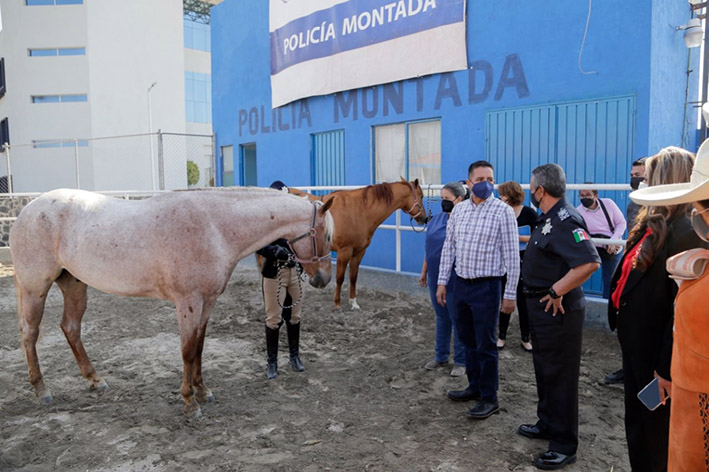 Firma policía municipal convenio de colaboración con el Instituto de Ciencias Ecuestres