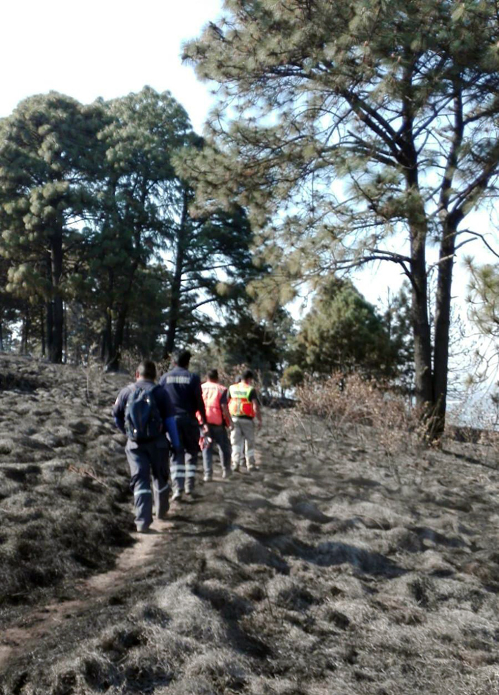 Bomberos y CONAFOR, sofocan incendio en cerro Zapotecas