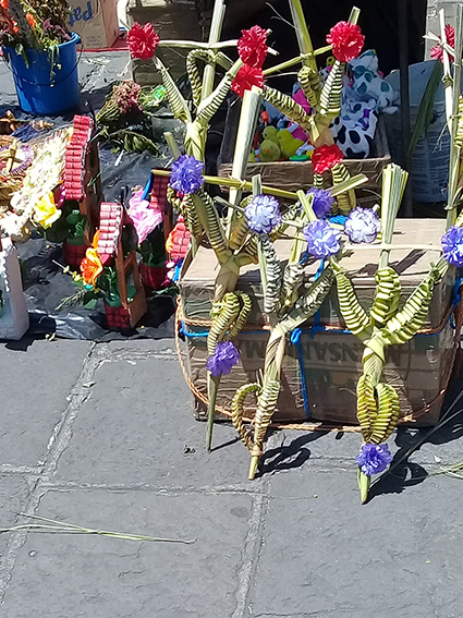 Con el Domingo de Ramos, inicia Semana Mayor