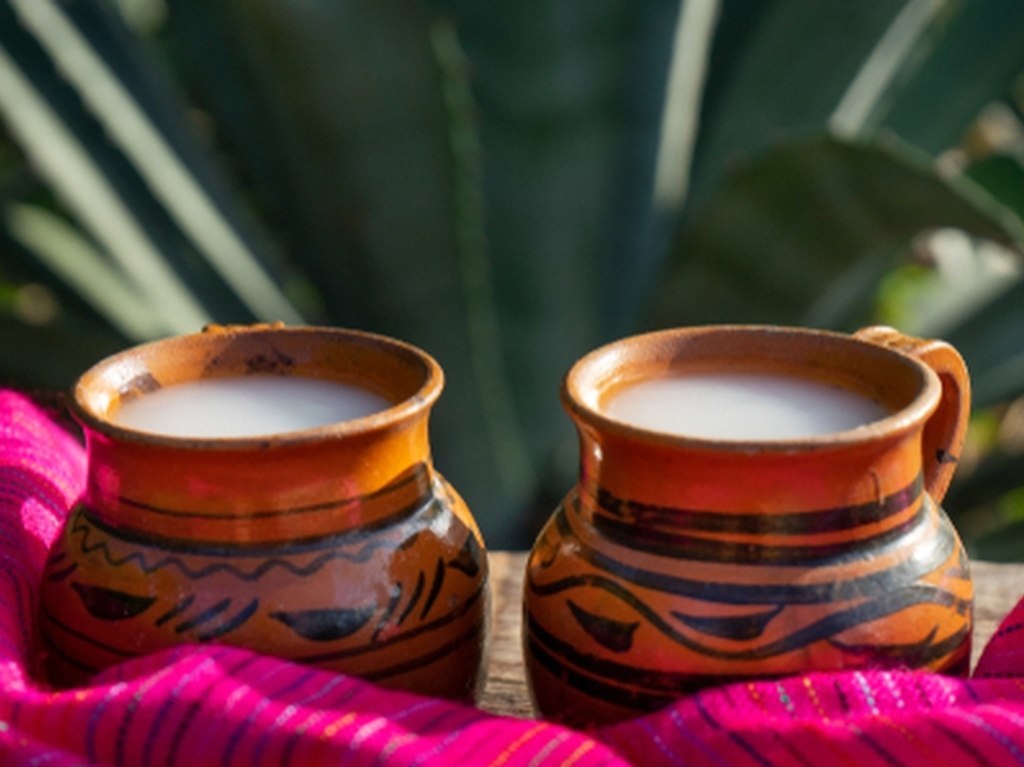 En junio el Festival del pulque, el helado y el Foodtruck