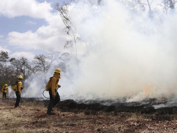 Por robusta infraestructura de monitoreo, Puebla disminuye incendios en 14.7%
