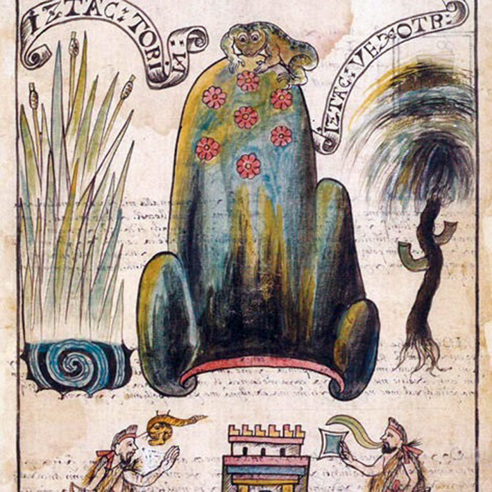 28 de junio Día Mundial del Árbol