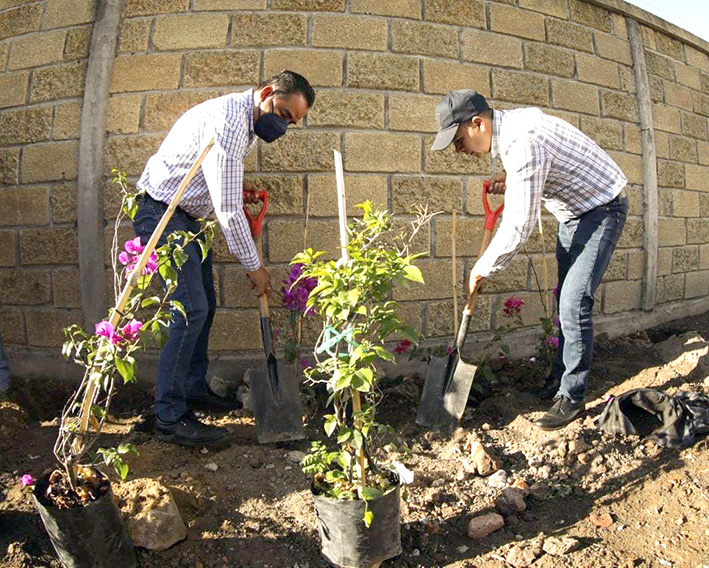 Día del medioambiente celebrarán el domingo