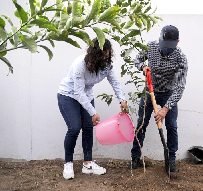 Reforestación en Acatepec, inicia Mundo Tlatehui