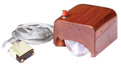El Ratón de computadora
