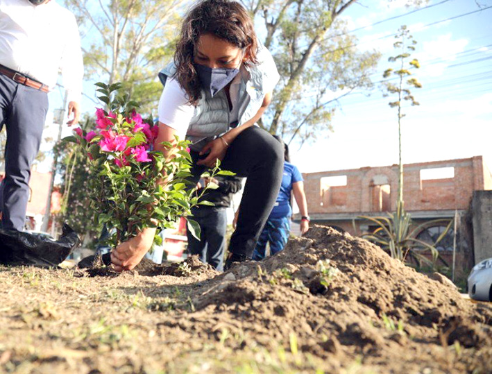 En la Zapata, jornada de reforestación