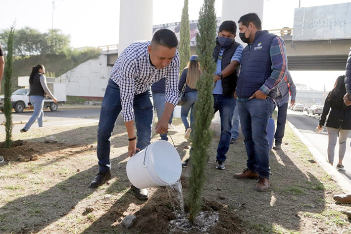 Reforestación en la federal a Atlixco