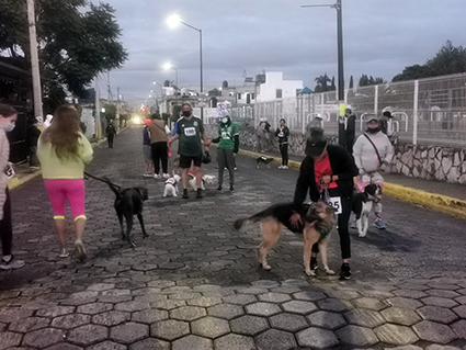 Se deben cuidar las mascotas: Mundo Tlatehui