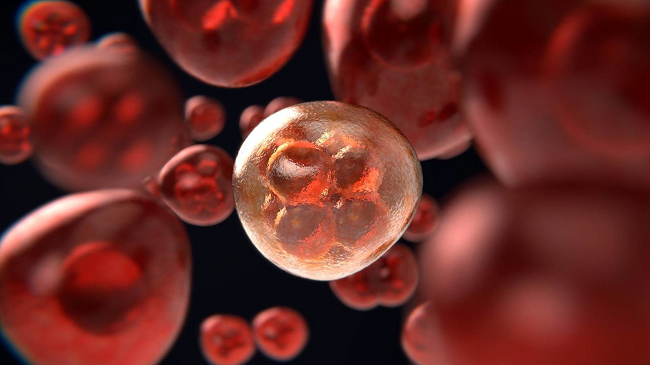 Tratamiento oncológico revolucionará terapia contra tumores